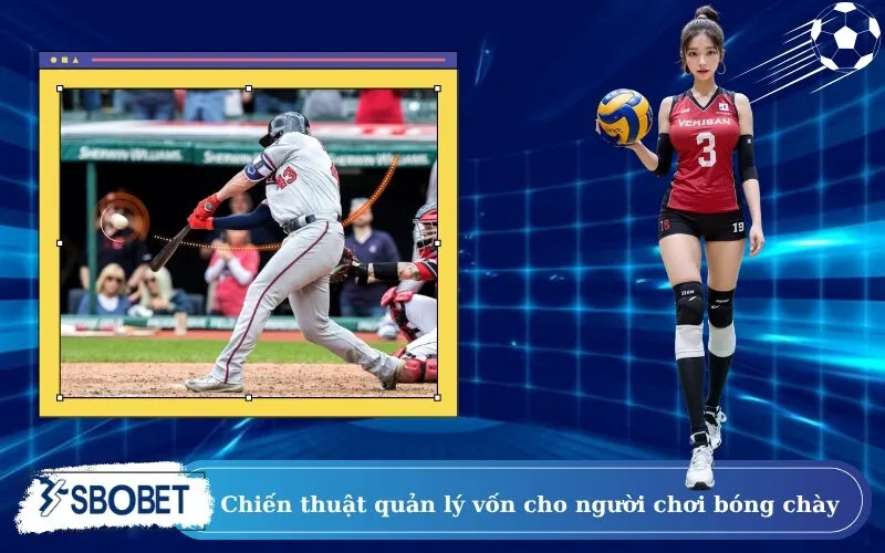 Chiến thuật quản lý vốn cho người chơi bóng chày