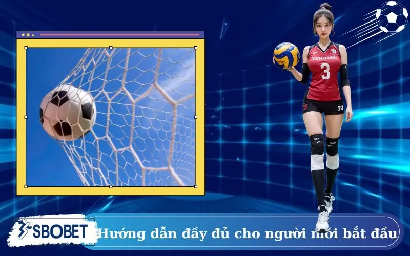 Hướng dẫn đầy đủ cho người mới bắt đầu