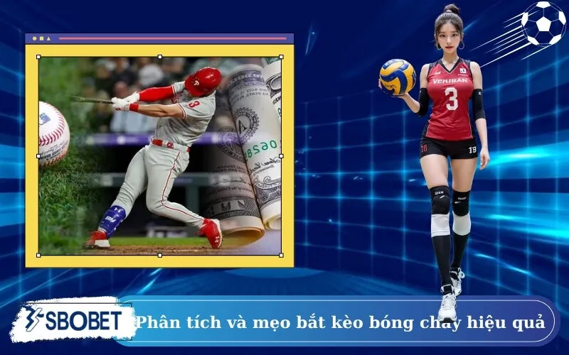 Phân tích và mẹo bắt kèo bóng chày hiệu quả