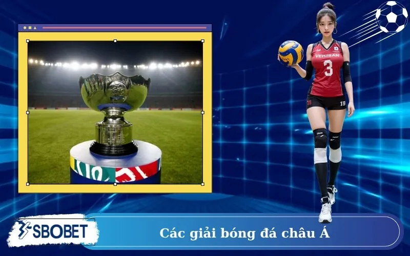 Các giải bóng đá Châu Á