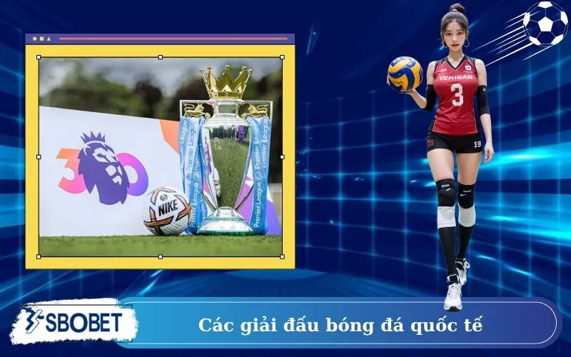 Các Giải Đấu Bóng Đá Quốc Tế