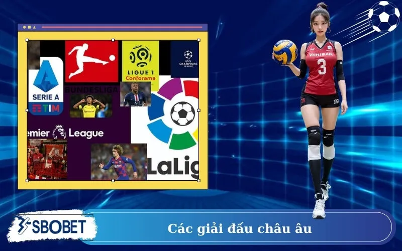 Các giải đấu Châu Âu