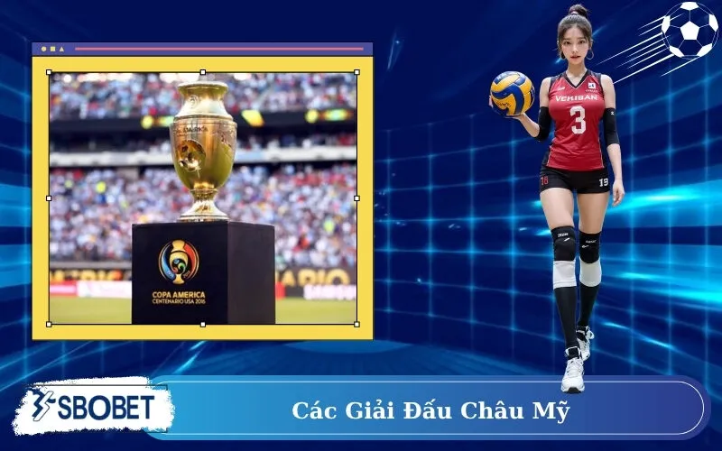 Các giải đấu Châu Mỹ