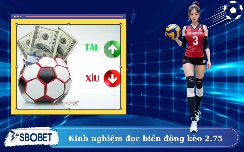 Kinh nghiệm đọc biến động kèo 2.75